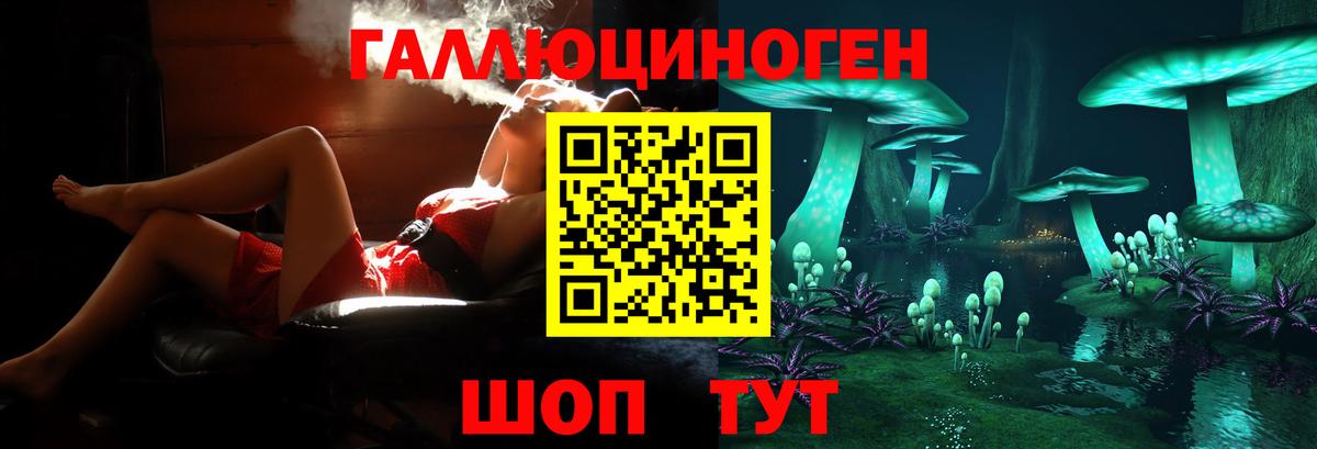 Шелехов  Псилоцибиновые грибы Magic Shrooms  Вход с VPN 
